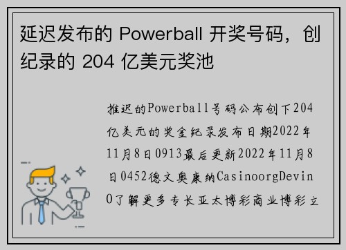 延迟发布的 Powerball 开奖号码，创纪录的 204 亿美元奖池 